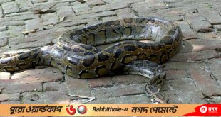 1697884133.PANCHAGARH PYTHON PIC 6