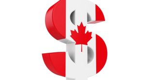 canadian dollar cad loonie flag